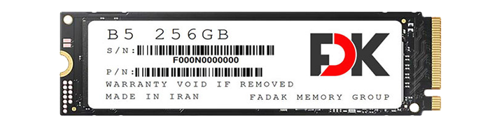 حافظه SSD اینترنال 256 گیگابایت FDK مدل B5 SERIES NVMe M.2